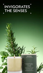 rosemary mint vegan soy wax candle