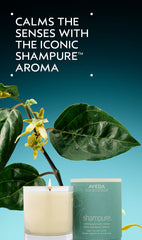 shampure™ vegan soy wax candle